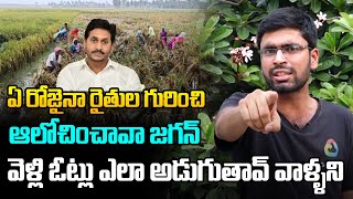 ఏ రోజైనా రైతుల గురించి ఆలోచించావా జగన్ ... | AP Common Man Fires On YS Jagan Over Farmers Issues