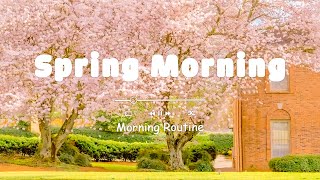 【作業用BGM】春の朝準備する時にかけ流したいお洒落でテンション上がる曲集 。 [Playlist] Morning songs for a positive day 🌸 hello spring