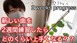 【２週間のバイオリン練習成果】2 weeks progress Concerto No.5 1st / Seitz