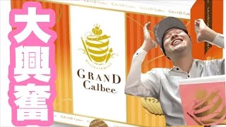 【ｸﾞﾗﾝｶﾙﾋﾞｰ】行列のできる高級ﾎﾟﾃﾄﾁｯﾌﾟｽに大興奮‼【カルビー】