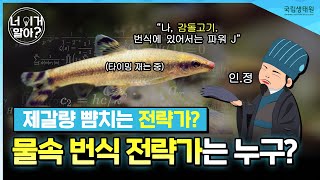 [너 이거 알아?] 남의 집에 알 낳고 도망? 비정한 부모라 욕할 수 없는 이유