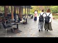 《hd》japan karuizawa【hoshino area】japanippon walk ハルニレテラス