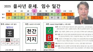 을사년 운세.  임수 일간. 선인사주명리