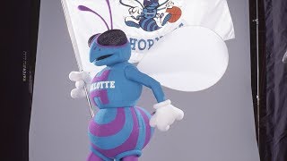 HUGO THE HORNET! Hornets 30th Anniversary Feature