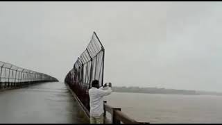 Massive Water in Chambal river at sheopur pali bridge. Flood like situation.