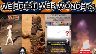 weirdest web wonders vol 193