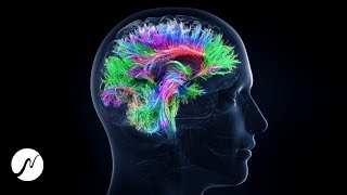 100% Gehirn Potenzial aktivieren - Genie-Frequenz - Beta Wellen (Brainwaves)