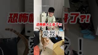 【拍攝者不救】窒息的愛 弟弟狂逼問貓愛我嗎 #橘貓 #拷問 #shorts