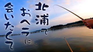 Herabuna (crucian carp) fishing in the Kitaura JAPAN!