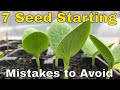 7 Biggest Seed Starting Mistakes to Avoid