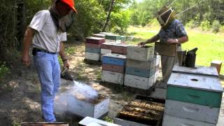 Beekeeper Laurence Cutts - "How to Make a Queen"