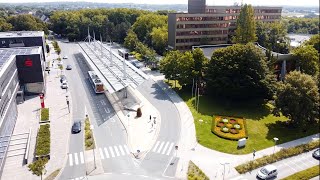 Natürlich Bergkamen | Stadt der Lichtkunst (Director's Cut)