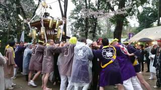 2017年4月9日 平塚 公所神社 神輿渡御 宮入