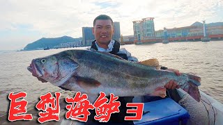 Xiaozhang beat 15 large bass, a rare giant bass, earning more than 3,000 per box