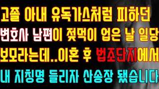 [반전 실화사연] 고졸 아내 유독가스처럼 피하던 변호사 남편이 젖먹이 업은 날 일당 보모라는데 이혼 후 법조단지에서 내 지칭명 들리자 산송장 됐습니다/신청사연/사연낭독/라디오드라마