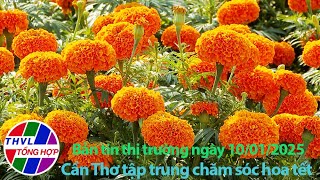 Bản tin thị trường (10/01/2025): Cần Thơ tập trung chăm sóc hoa tết