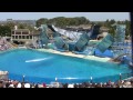 SeaWorld's Old Shamu Believe Show With Trainers in the Water!!!