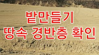 경반층 논흙 밭만들기 나무심기 하나를 알려주면 열을 걱정한다 농지법 위반 농지대장 만들려고  잔머리 잘못쓰면 돈잃고 귀산촌  귀농 빚쟁이 인생말년 망가진다 심근성 나무묘목 식재문의