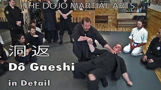 Sitting Samurai Attacks - Koryū Martial Arts