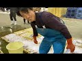 【魚市場】【魚屋作業風景】【ジャガイモ食べくらべ】今朝の魚市場6月1日水曜日の水揚げ状況！