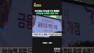 NH농협 지점 5곳 통폐합, 지역농협이 운영 승계 '눈길' / KNN