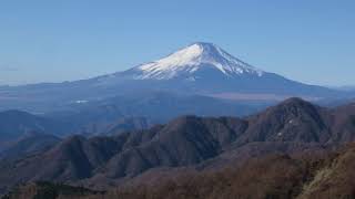 円山木ノ頭南東尾根から弁天杉・蛭ヶ岳へ！(塩水橋～丹沢山～塔ノ岳）