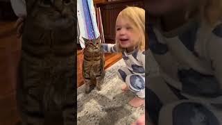 Cat Makes Hilarious Face After Girl Says She is Happy For Her - 1382632