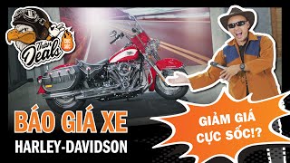 Báo Giá Xe Harley-Davidson Tháng 8/2024 | Săn Ưu Đãi Khủng Với 🦅 Thần Deals Cực Sốc