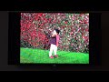 Sony BRAVIA KDL 43W800C Android TV Testing