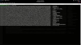 Exploiting basic authentication