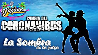LA SOMBRA DE LA SALSA | LA CUMBIA DEL C0R0NAVIRUS | LA GOZADERA