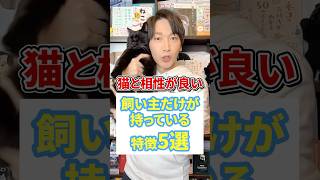 猫と相性が良い飼い主だけが持ってる特徴5選 #猫 #猫好き #ねこ