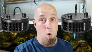 Could These Be The BEST Aquarium LIGHTS? Kessil A360X Tuna Sun LEDS For Fish Tanks! Planted Aquarium