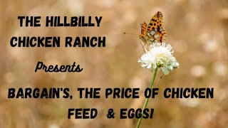 Bargains, The Price of Chicken Feed \u0026 Eggs