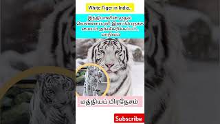 White tiger in india #Tnpsc #geography