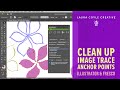 Clean Up and Optimize Image Trace Art in Illustrator Part 3