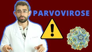 Parvovirose | Dica Veterinária #14