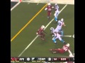 Jonathan Stewart runs for TD 1/3/15