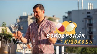 Milyen borospoharat válasszunk? - Dpwines bemutatkozó videó 🍷