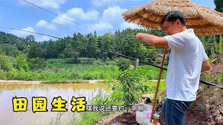 大哥顶着太阳钓了几条鱼，做一锅鲜香的鲫鱼汤，又白又浓太好喝了