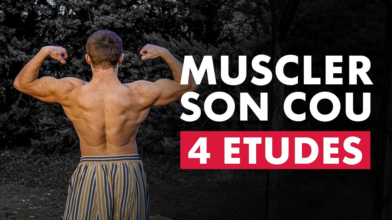 Muscler Son Cou Rapidement [4 études] + Programme Musculation Optimal ...