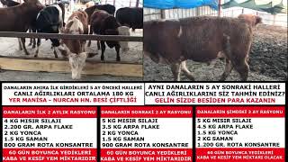 ROTA KONSANTRE BESİ YEMİ FARKI