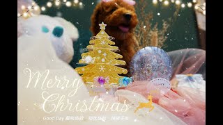 merry christmas2023竹北寵物旅館聖誕節-新竹/竹北貓旅館【Good Day寵物生活Spa館】貓咪旅館，竹北寵物住宿、寵物寄宿、寵物美容-貓狗鼠兔住宿服務.竹北全新貓旅24小時飼主監控