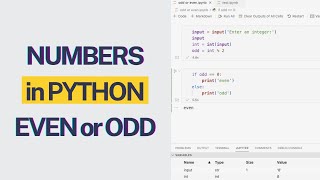 Determining Odd or Even Numbers in Python