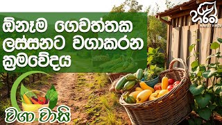 ස්වභාවික කාබනික වගාව | වගා වාසි | haritha tv | pears | Agriculture