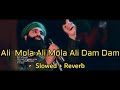 ALI MOLA ALI DAM DAM ( Slowed And Reverb ) | Sultan Ul Qadria Qawwal | Slowed & Reverb Lover