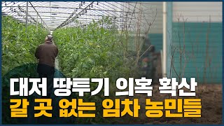 대저 땅투기 의혹 확산 갈 곳 없는 임차 농민들