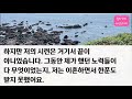 신청사연 남편과 아들에게 전 재산 뺏기고 길거리에서 떡볶이를 팔고 있는데 한 꼬마가