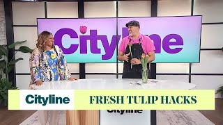 5 tips to keep your fresh tulips alive