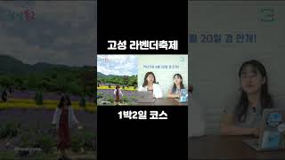 라벤더보러 고성여행가자 #shorts